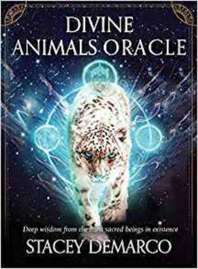 Divine Animal Oracle by Stacey Demarco